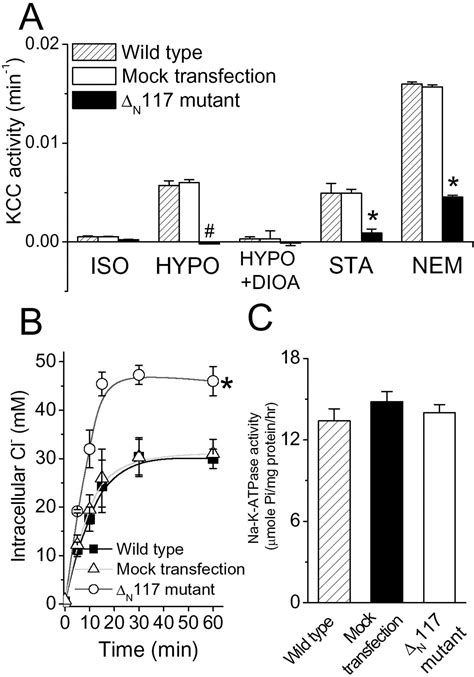 kcc kcl jpm research klinche chemie ysl lab capellw|KCl Cotransport Is an Important Modulator of Human .